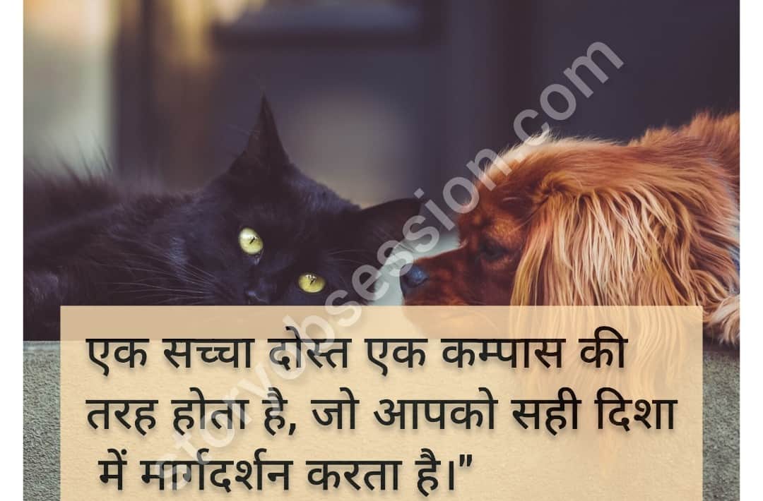 Friendship day quotes and wishes in hindi | friendship day images 
